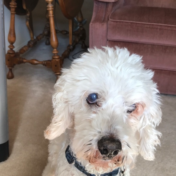 Meet your Posher, Keli - Picture 1 of 1